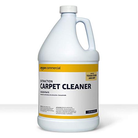 Commercial Extraction Carpet Cleaner, 1-Gallon