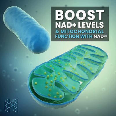 NAD+ Booster Supplement, EXP: 4/2023