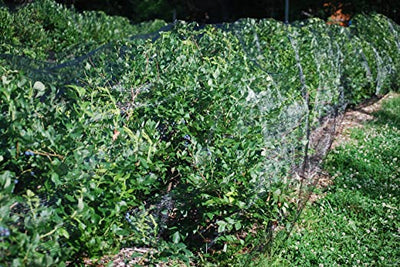 Garden Protective Netting 0.25" Openings, 14' x 100'