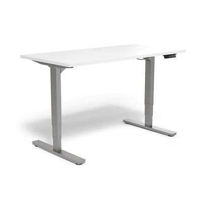 55" Electric Rectangular Adjustable Desk, White