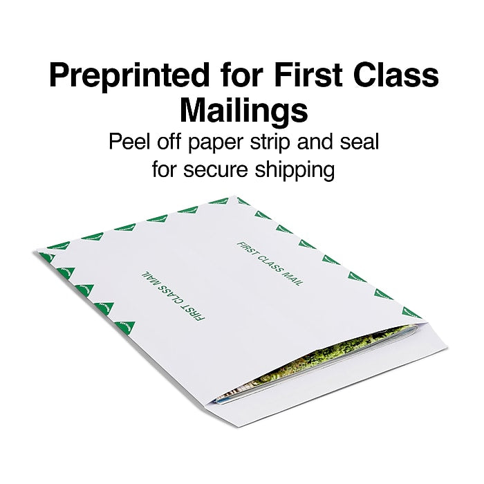 Staples First Class Catalog Envelopes, 9"L x 12"H, 100/Box