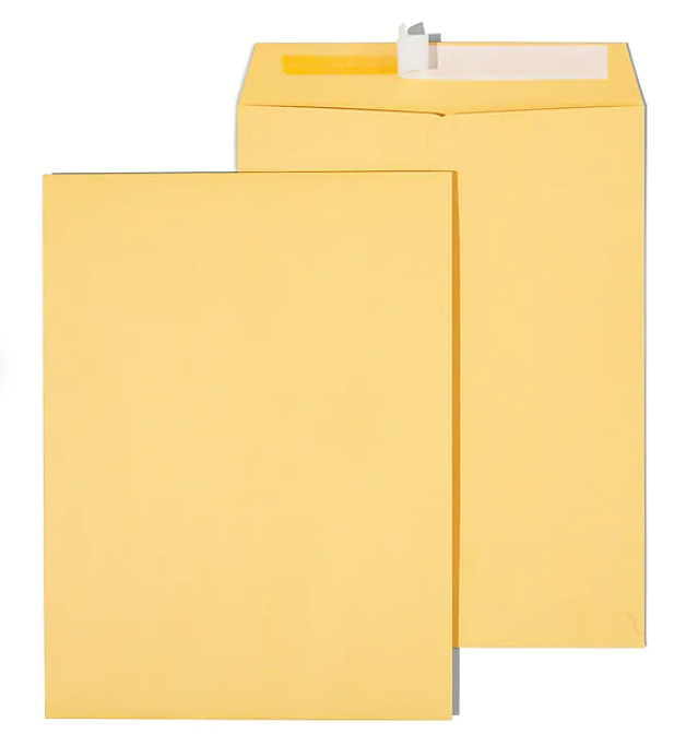Staples Kraft EasyClose Catalog Envelopes, 9" x 12", 100/Case